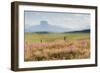 Alone the Way-Dan Ballard-Framed Photographic Print