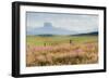 Alone the Way-Dan Ballard-Framed Photographic Print