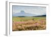 Alone the Way-Dan Ballard-Framed Photographic Print