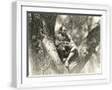 White Frame