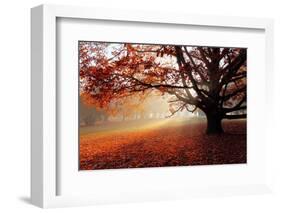 Alone Tree in Autumn Park-TTstudio-Framed Photographic Print