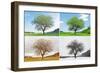 Alone Tree in for Season-mr. Smith-Framed Photographic Print