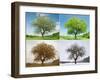 Alone Tree in for Season-mr. Smith-Framed Photographic Print