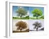 Alone Tree in for Season-mr. Smith-Framed Photographic Print