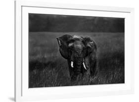 Alone under the rain-Massimo Mei-Framed Photographic Print