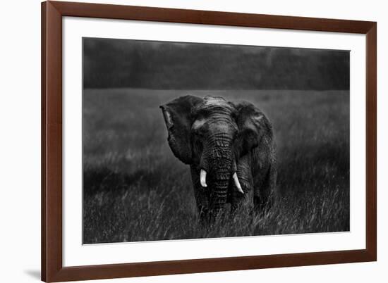 Alone under the rain-Massimo Mei-Framed Photographic Print