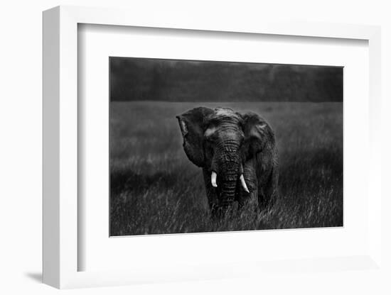 Alone under the rain-Massimo Mei-Framed Photographic Print