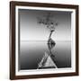 Alone with My Tree-Moises Levy-Framed Photographic Print