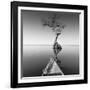 Alone with My Tree-Moises Levy-Framed Photographic Print