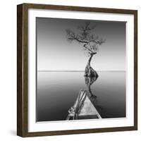 Alone with My Tree-Moises Levy-Framed Photographic Print