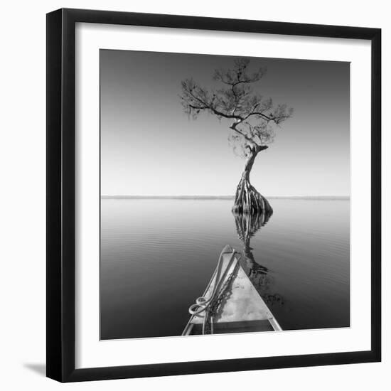 Alone with My Tree-Moises Levy-Framed Photographic Print