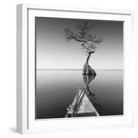 Alone with My Tree-Moises Levy-Framed Photographic Print