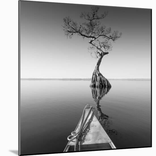 Alone with My Tree-Moises Levy-Mounted Photographic Print