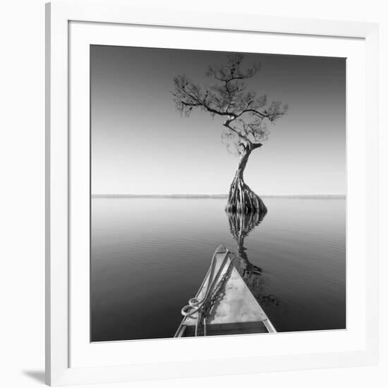 Alone with My Tree-Moises Levy-Framed Photographic Print