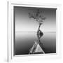 Alone with My Tree-Moises Levy-Framed Photographic Print