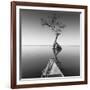 Alone with My Tree-Moises Levy-Framed Photographic Print