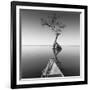 Alone with My Tree-Moises Levy-Framed Photographic Print