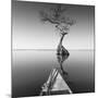 Alone with My Tree-Moises Levy-Mounted Photographic Print