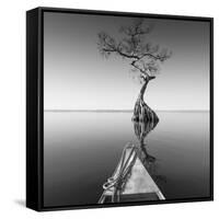 Alone with My Tree-Moises Levy-Framed Stretched Canvas
