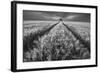 Alone-null-Framed Art Print