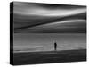 Alone-Josh Adamski-Stretched Canvas