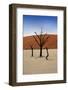 Alone-PerseoMedusa-Framed Photographic Print