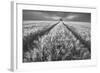 Alone-Piotr Krol (Bax)-Framed Photographic Print