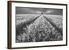 Alone-Piotr Krol (Bax)-Framed Photographic Print