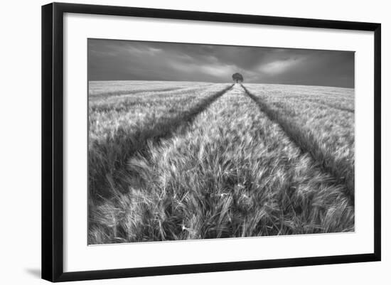 Alone-Piotr Krol (Bax)-Framed Photographic Print