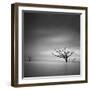 Alone-Moises Levy-Framed Photographic Print