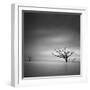 Alone-Moises Levy-Framed Photographic Print