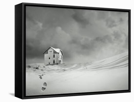 Alone-ValentinaPhotos-Framed Stretched Canvas