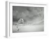 Alone-ValentinaPhotos-Framed Art Print