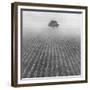 Alone-Moises Levy-Framed Giclee Print