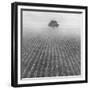 Alone-Moises Levy-Framed Giclee Print