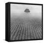 Alone-Moises Levy-Framed Stretched Canvas