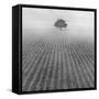 Alone-Moises Levy-Framed Stretched Canvas