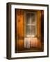 Alonecycle-Satterlee Craig-Framed Photographic Print