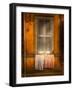 Alonecycle-Satterlee Craig-Framed Photographic Print