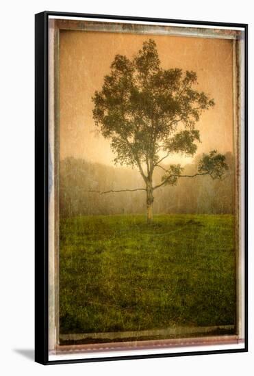 Aloneloop-Craig Satterlee-Framed Stretched Canvas