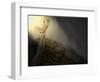 Alonequel-Craig Satterlee-Framed Photographic Print