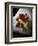 Alonesphere-Craig Satterlee-Framed Photographic Print