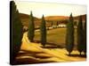 Along a Tuscan Road-Tim Howe-Stretched Canvas