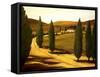 Along a Tuscan Road-Tim Howe-Framed Stretched Canvas