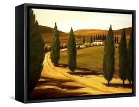 Along a Tuscan Road-Tim Howe-Framed Stretched Canvas