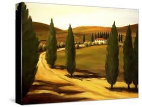 Along a Tuscan Road-Tim Howe-Stretched Canvas