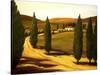 Along a Tuscan Road-Tim Howe-Stretched Canvas