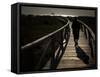 Along a Wooden Track During a Walk to the Beach in Village of Zahara De Los Atunes, Southern Spain-null-Framed Stretched Canvas