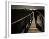 Along a Wooden Track During a Walk to the Beach in Village of Zahara De Los Atunes, Southern Spain-null-Framed Photographic Print