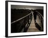 Along a Wooden Track During a Walk to the Beach in Village of Zahara De Los Atunes, Southern Spain-null-Framed Photographic Print